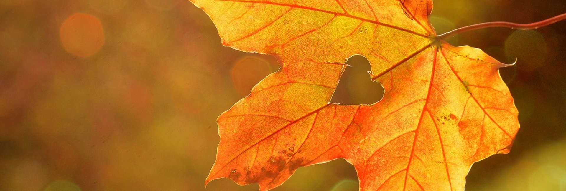 Herbst: Ein rot-gelb gefärbtes Blat mit einem kleinen Herz in der Mitte