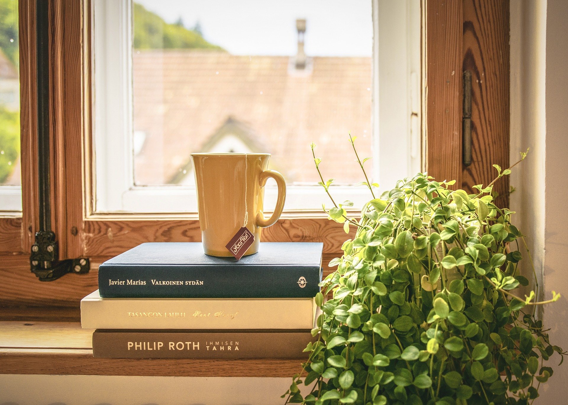 Bücher auf der Fensterbank mit einer Tasse obendrauf und grüne Pflanze rechts daneben