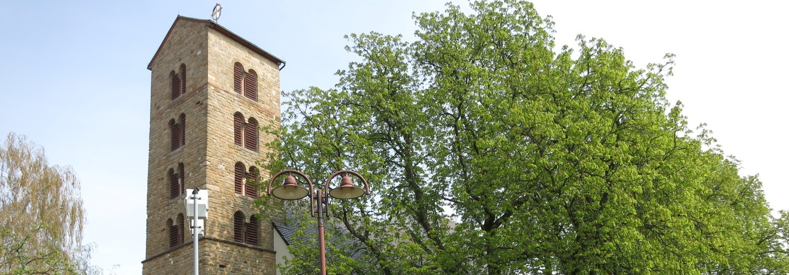 Katholische Kirche Heßheim, Turm ist links zu sehen, daneben steht ein großer  Baum